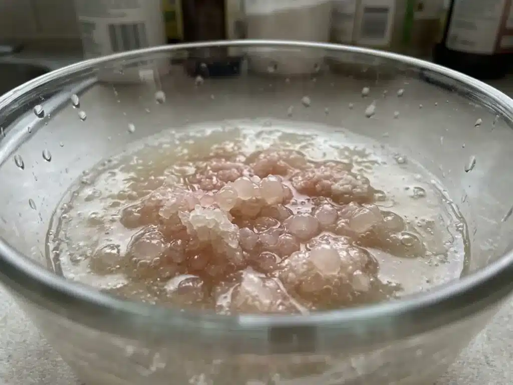 unflavored gelatin powder blooming and swelling in cold water in glass bowl for dr william li gelatin recipe step 1